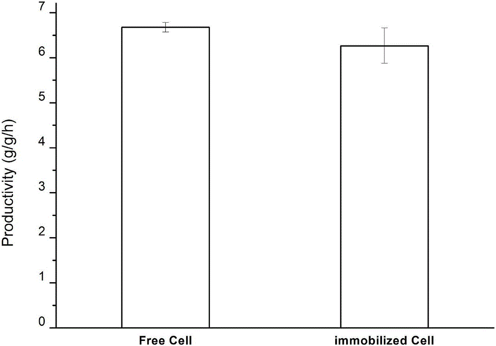 Toxic product tolerating cell immobilized method and production process of 1,5-diaminopentane by immobilized cell