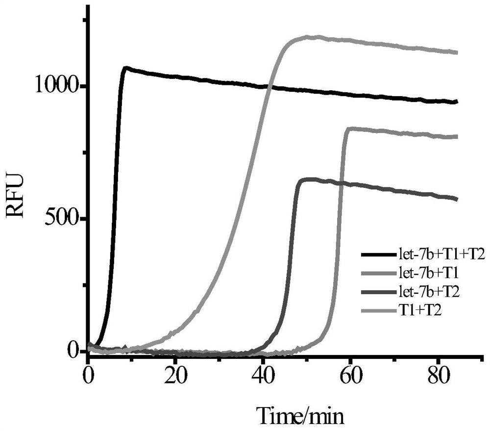 A low-sequence-dependent high-order isothermal exponential amplification method for the detection of microRNAs