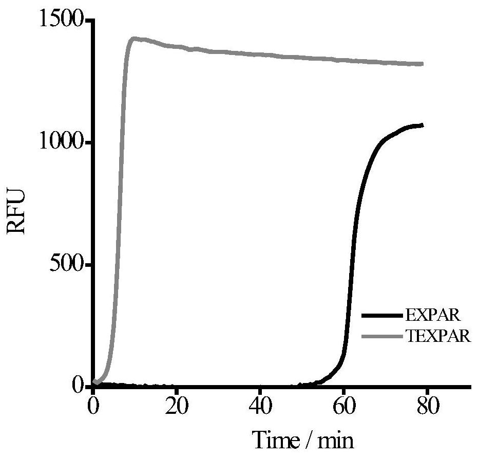 A low-sequence-dependent high-order isothermal exponential amplification method for the detection of microRNAs