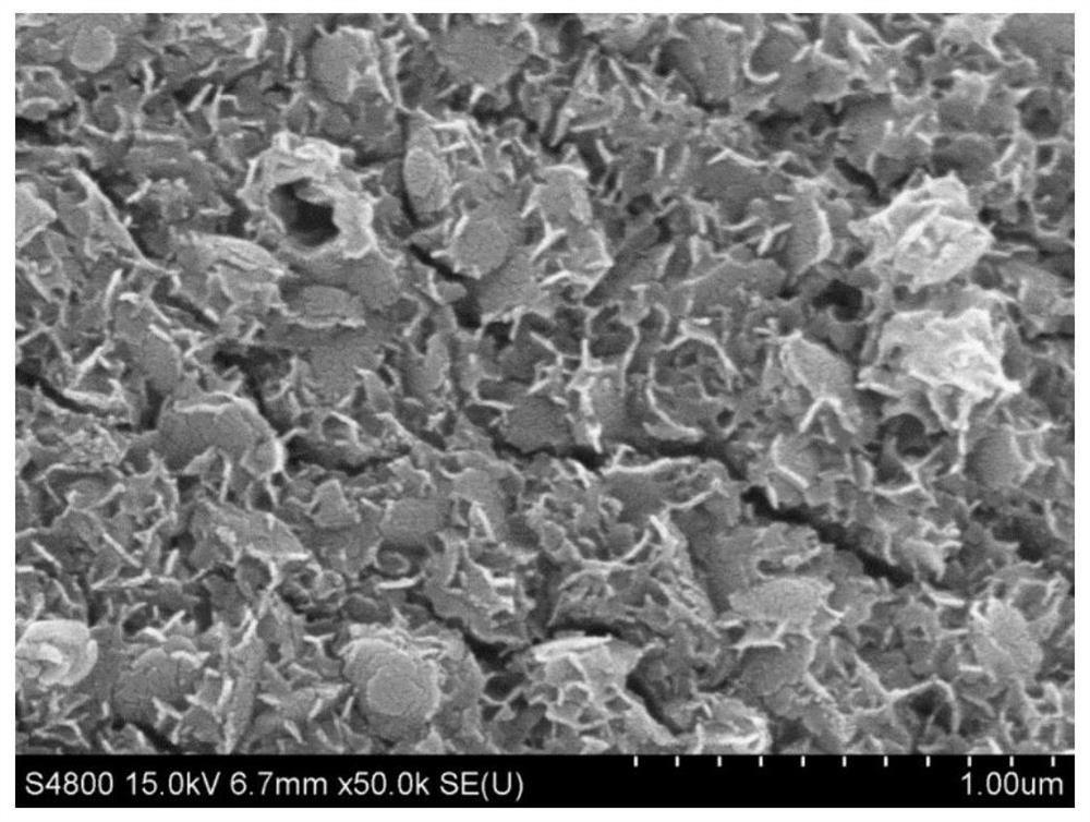 Hydrogen evolution catalyst with nickel hydroxide layer coated elemental ruthenium structure and preparation method thereof