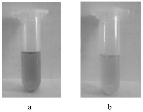 A kind of method for preparing dehydrated castor oil