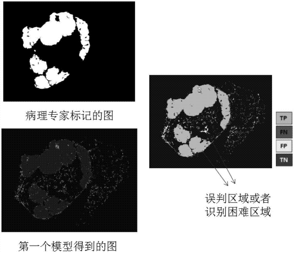 Method for automatically segmenting transfer region of a panoramic scanning pathology image