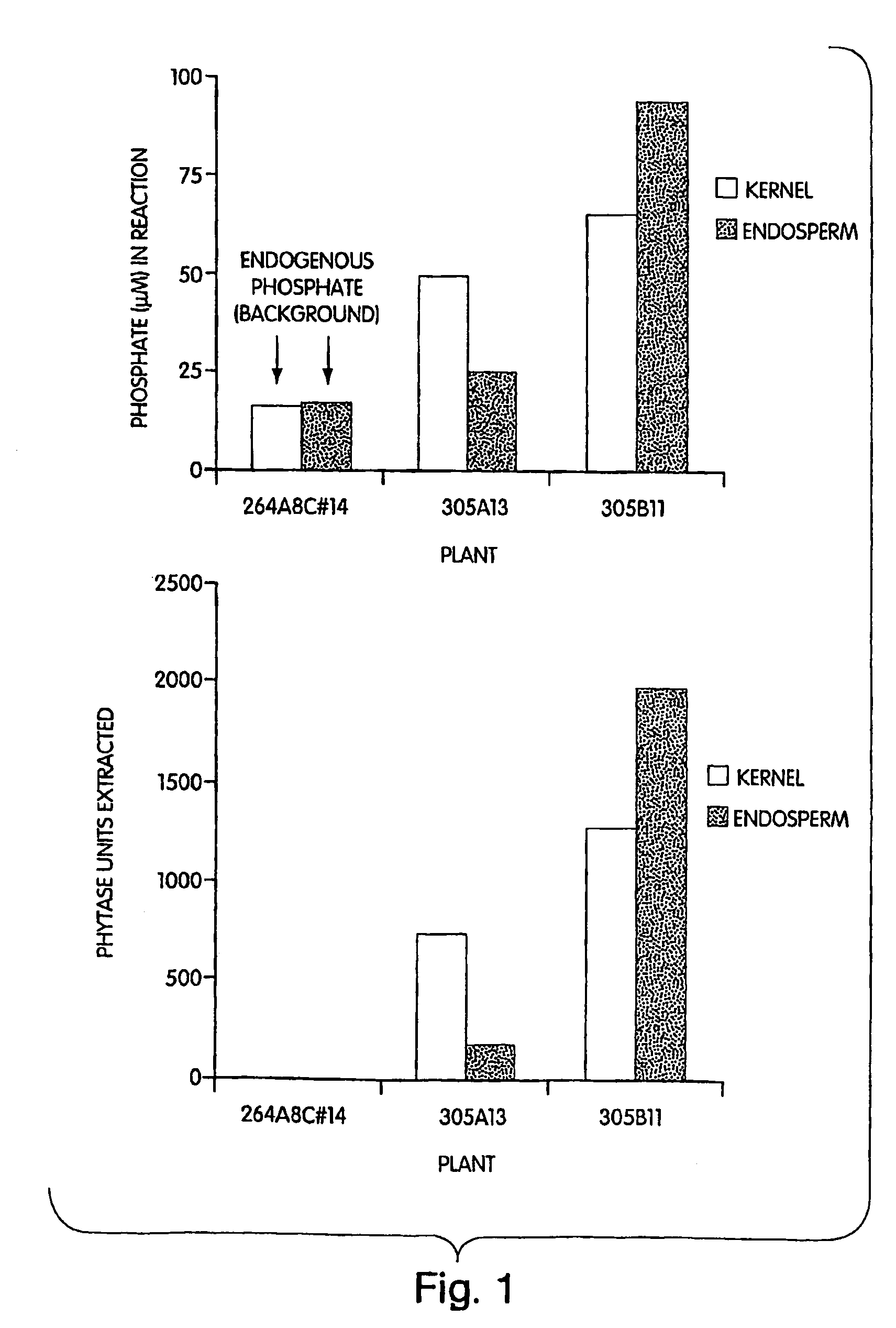 Thermotolerant phytase for animal feed