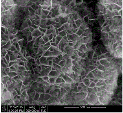 Metal oxide/graphitic carbon nitride composite material having three-dimensional structure and preparation thereof