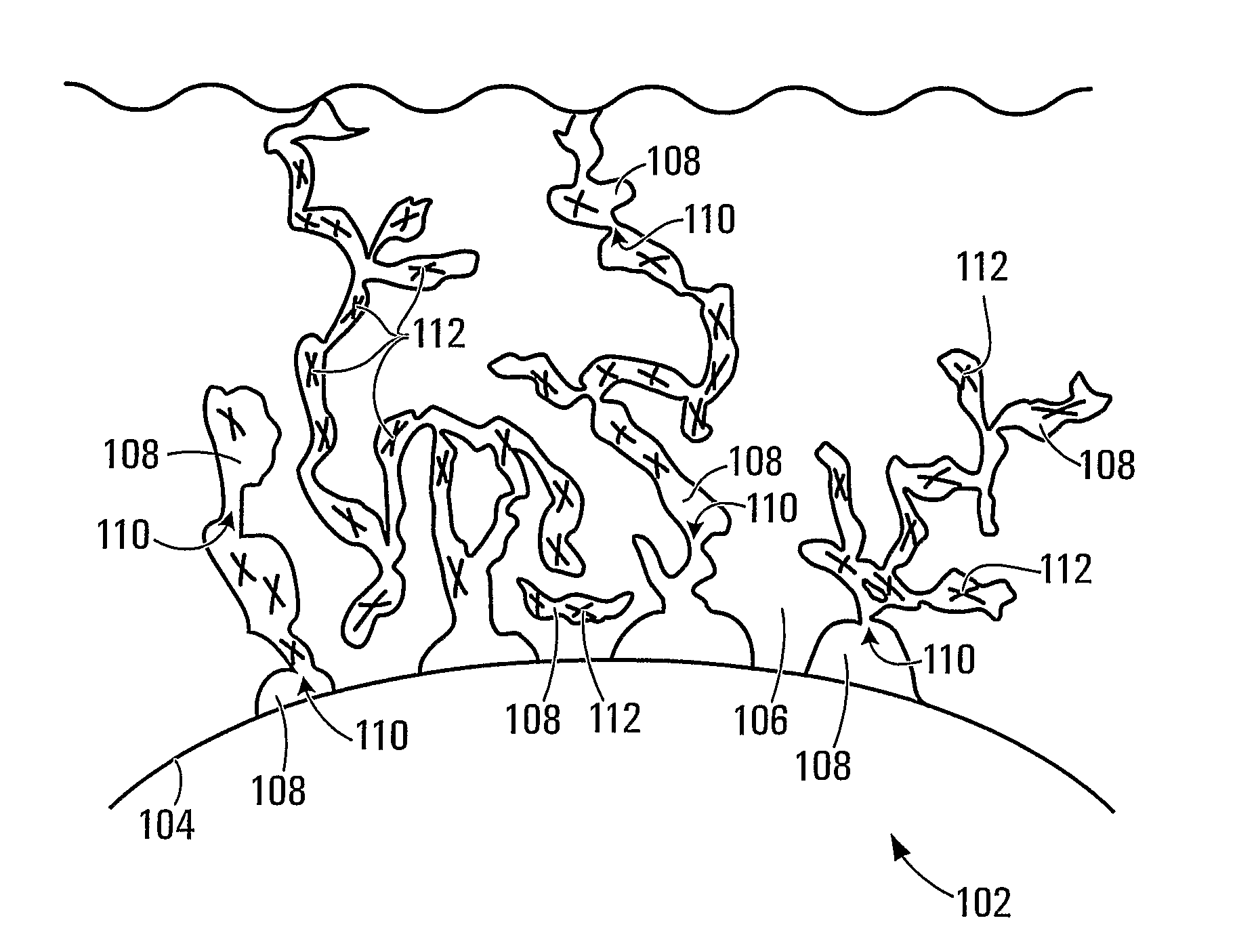 Trapping glucose probe in pores of polymer