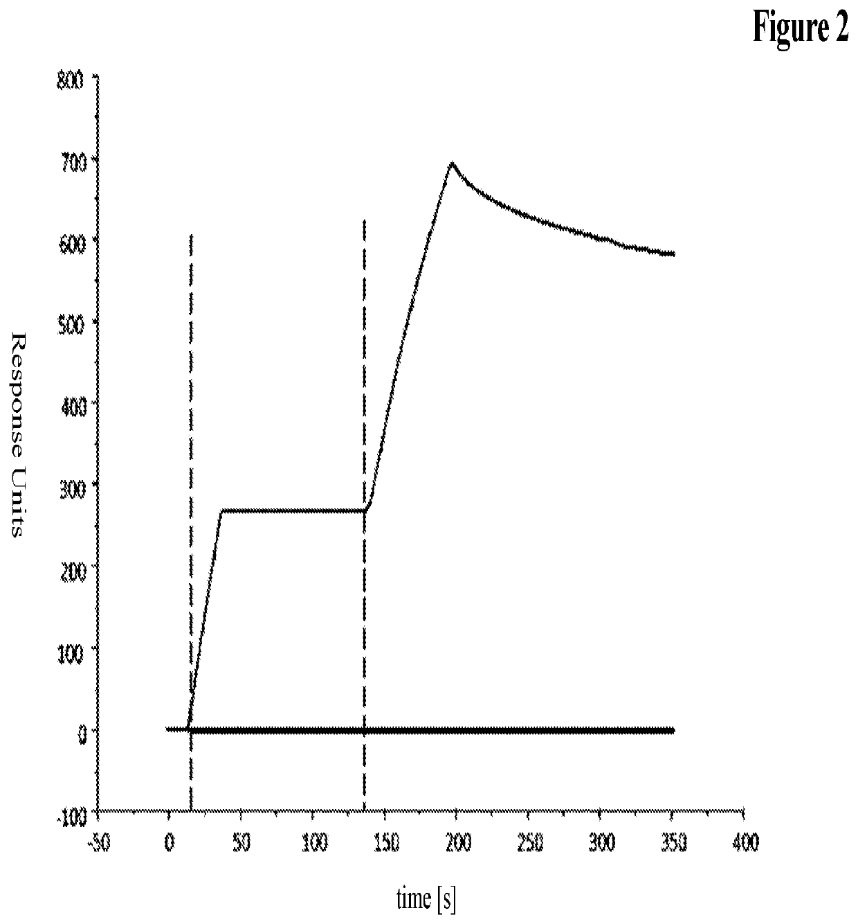 Novel antibody format