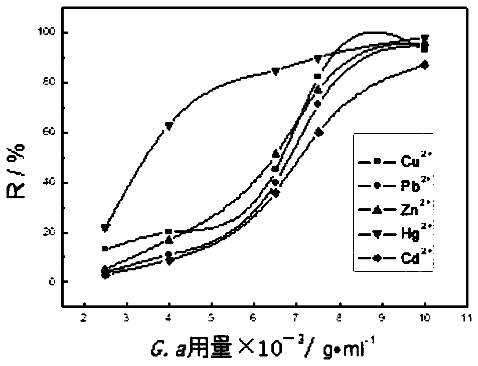 Method for removing heavy metal ions in sewage by using gordona amarae