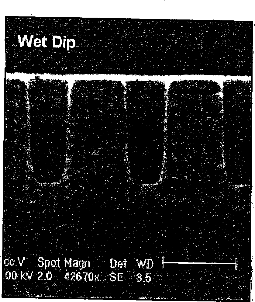 Plasma chamber system and method for cineration of photolithographic patterns thereby