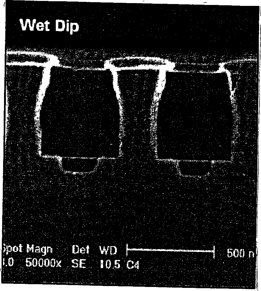 Plasma chamber system and method for cineration of photolithographic patterns thereby