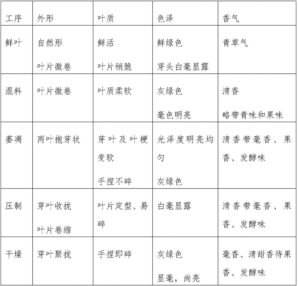 White tea and making method thereof