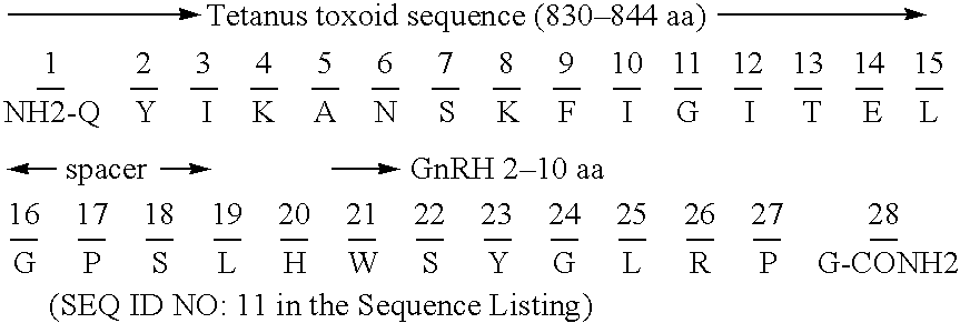 Chimeric peptide immunogens