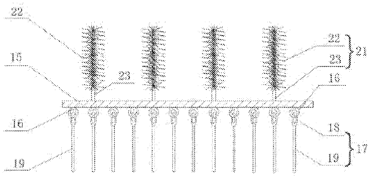 Crystallization column and crystallization method