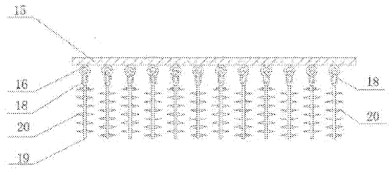 Crystallization column and crystallization method