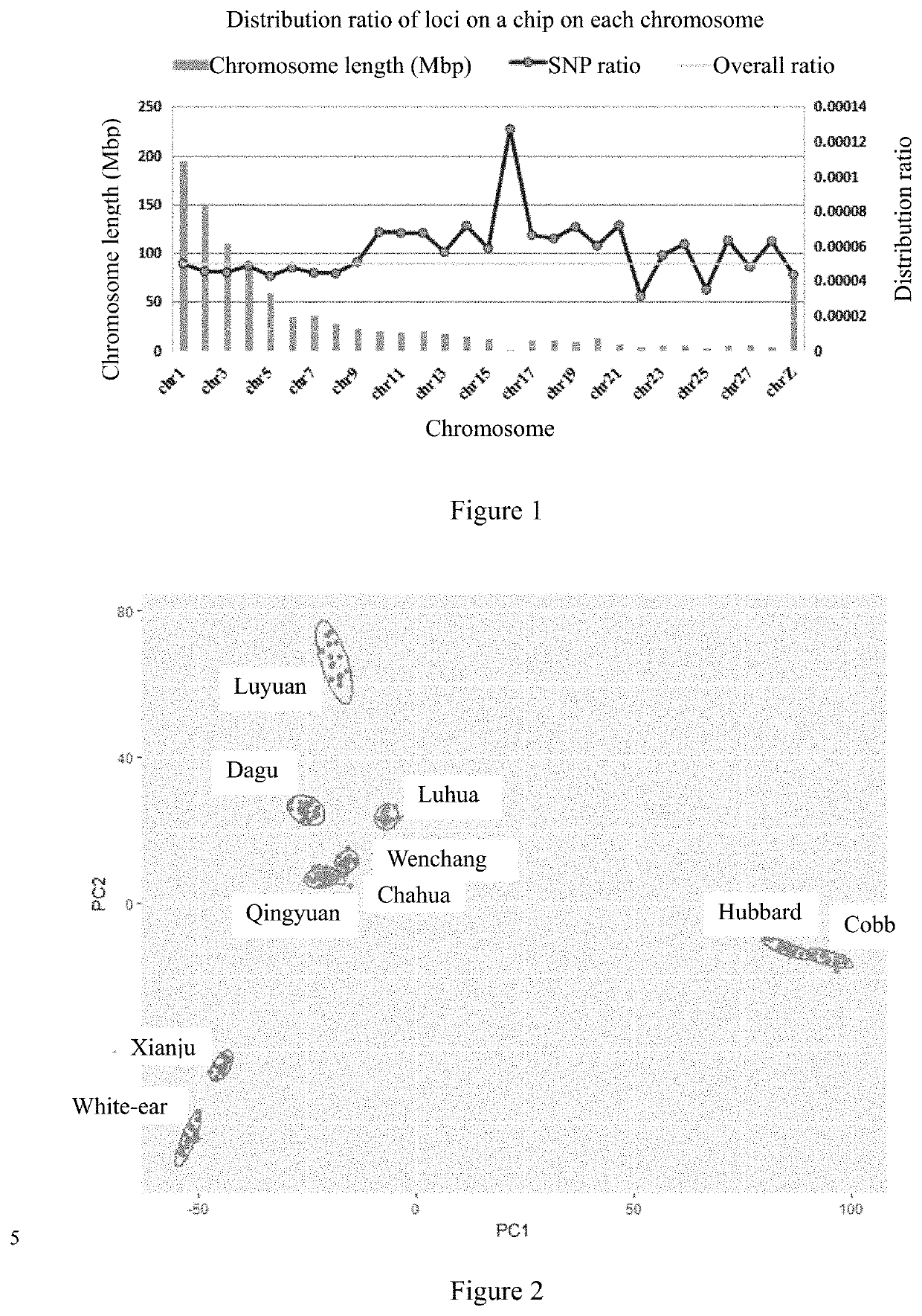 Chicken whole-genome SNP chip and use thereof