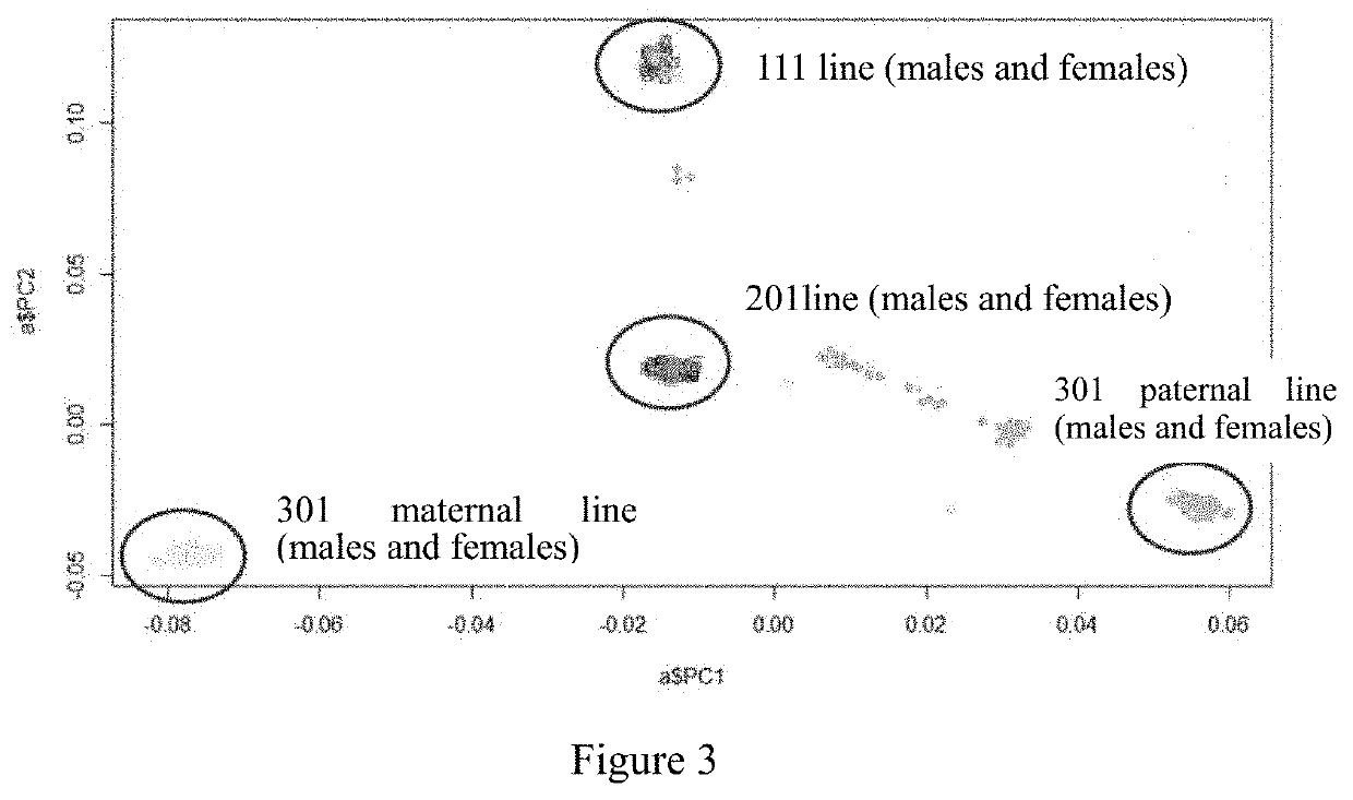 Chicken whole-genome SNP chip and use thereof