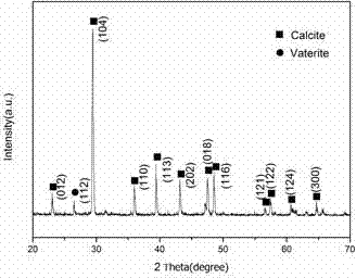 A method for preparing spherical porous calcium carbonate particles