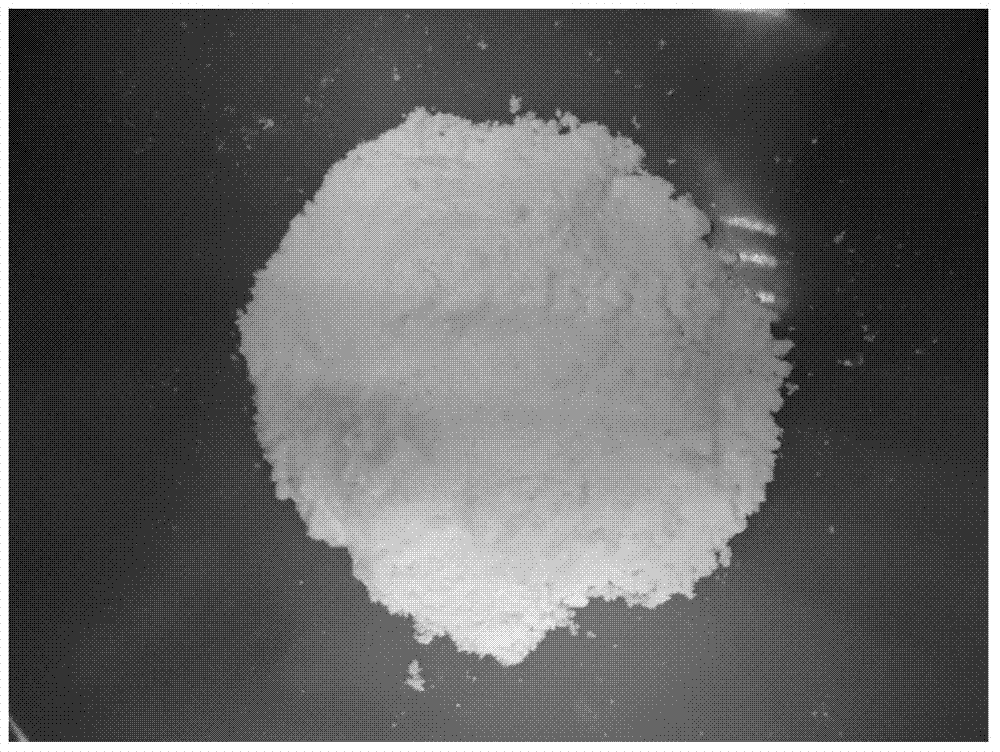 Method utilizing calcium carbide slag as raw material to produce gypsum crystal whisker