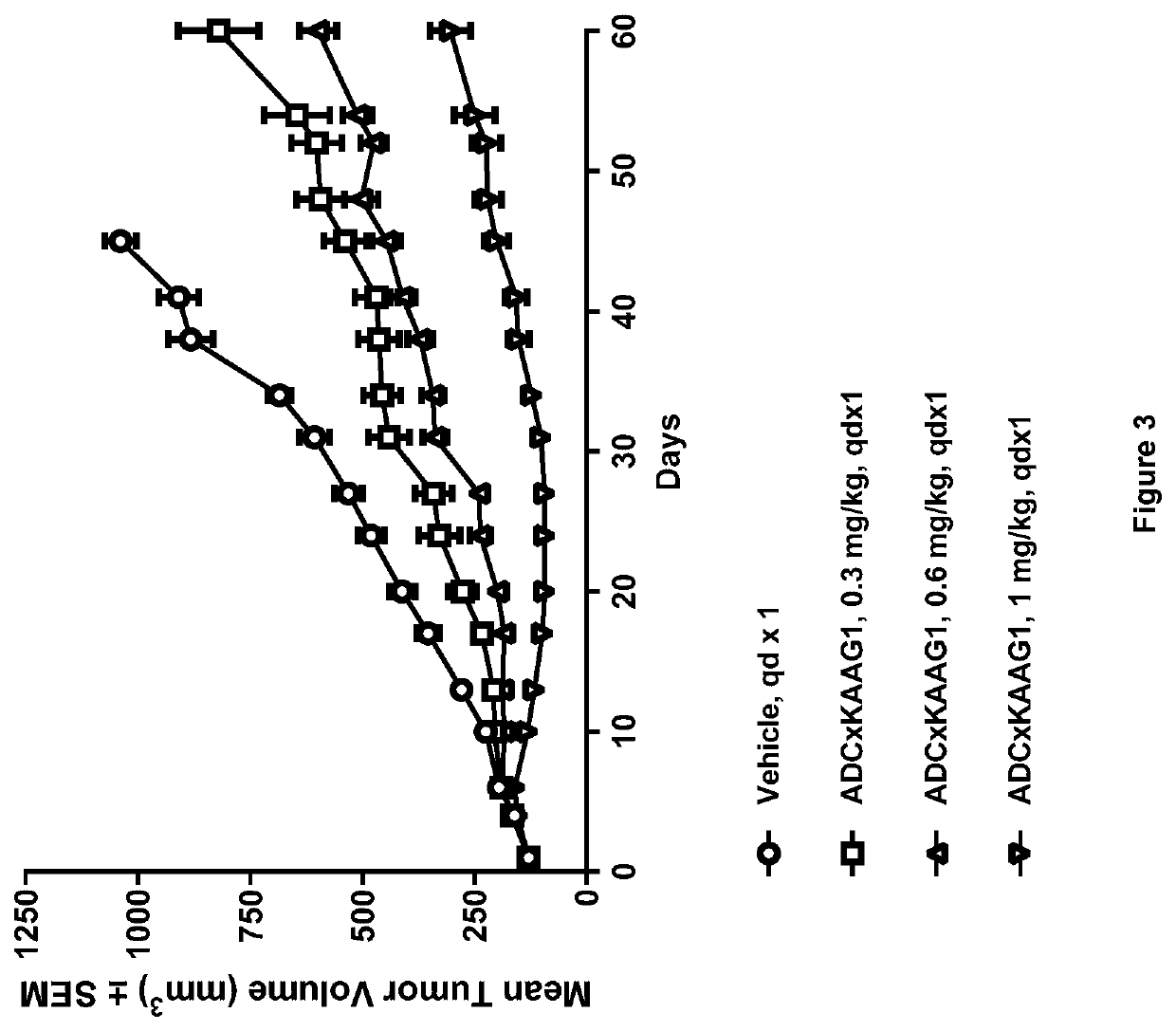 Pyrrolobenzodiazepine-antibody conjugates