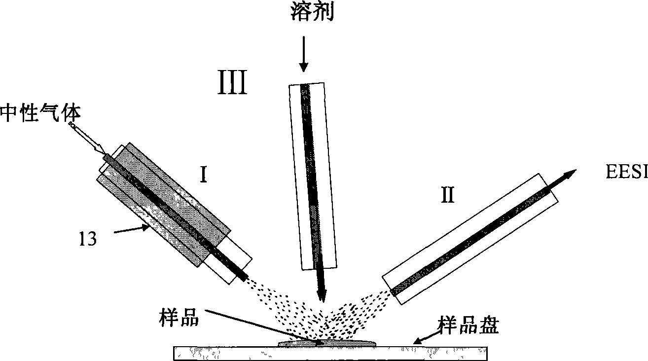 Neutral desorption apparatus and neutral desorption extractive electrospray lonization mass spectrometry method