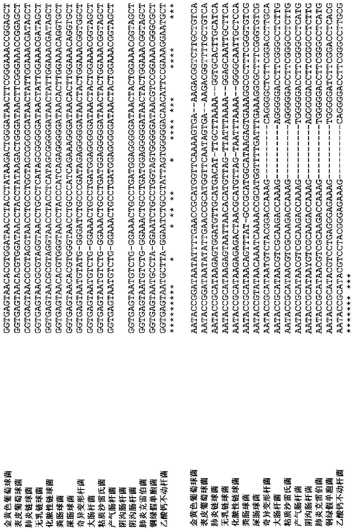 Biomarkers and uses thereof