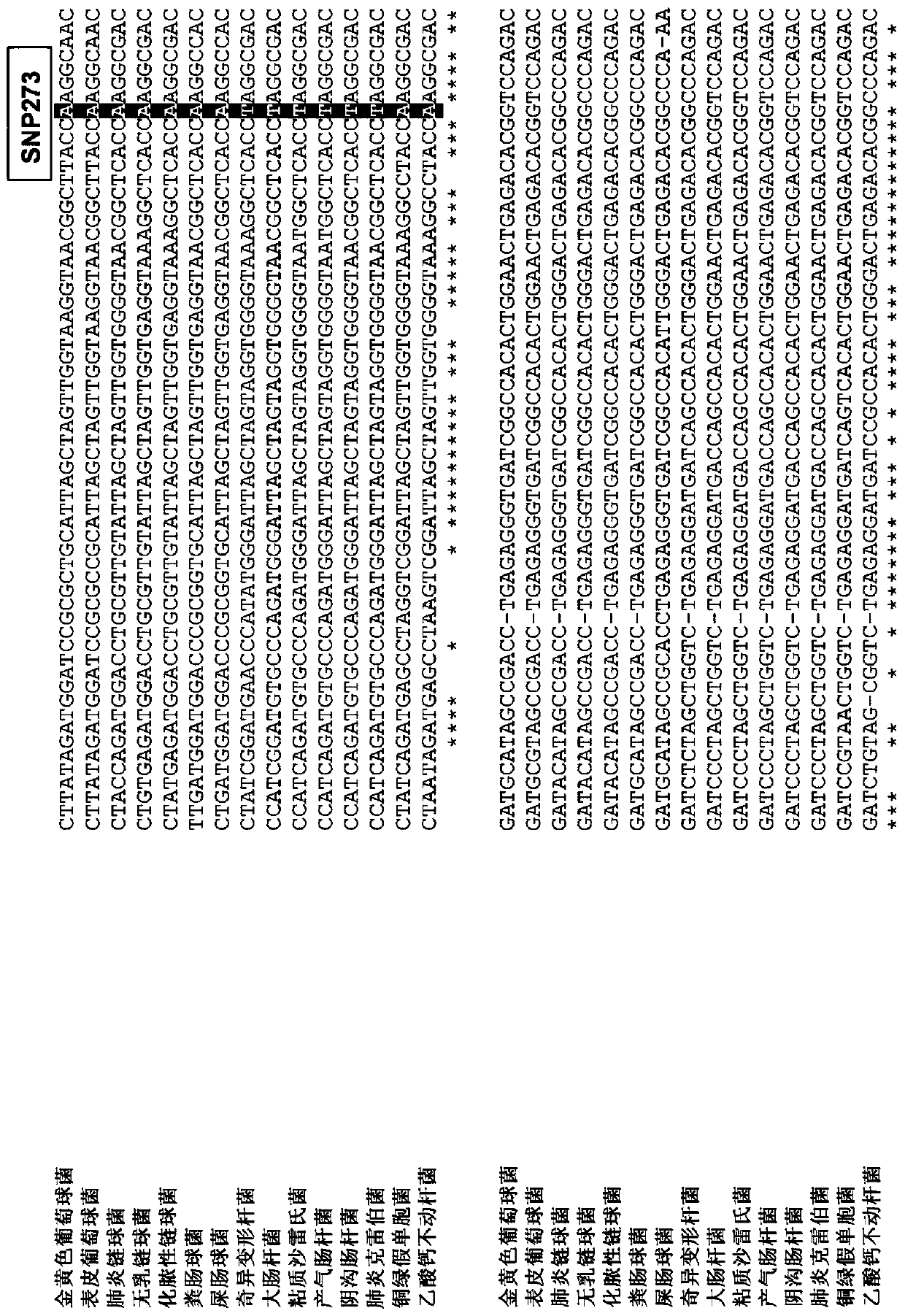 Biomarkers and uses thereof