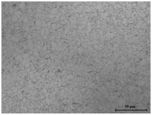 High-strength high-elasticity niobium-containing copper alloy and preparation method thereof