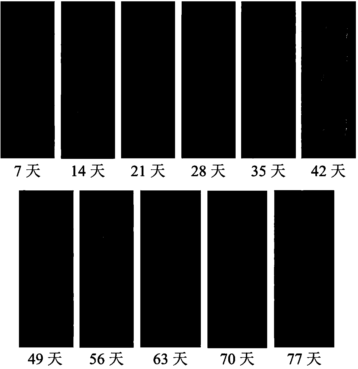 Denudation rapid testing method for simulating high-strength aluminum alloy in ocean atmospheric environment