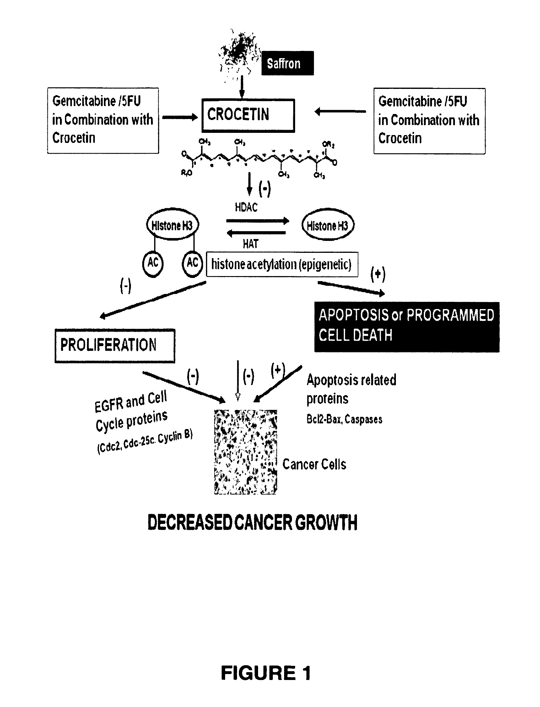 Purified Crocetin Compound And Method For Treating, Inhibiting, And/Or Prophylaxis of Cancer, Such As Pancreatic Cancer