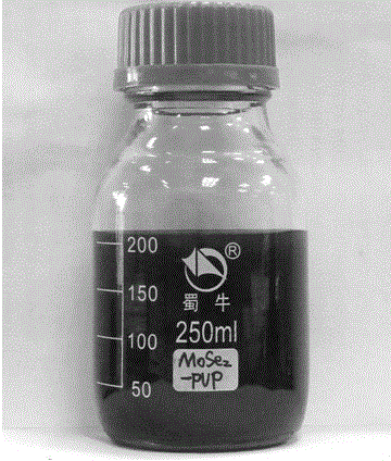 Transition metal disulfide compound nano sheet layer with good biocompatibility as well as preparation method and application thereof