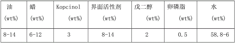 Nano-scale solid-state lipid drug delivery system and preparation method thereof