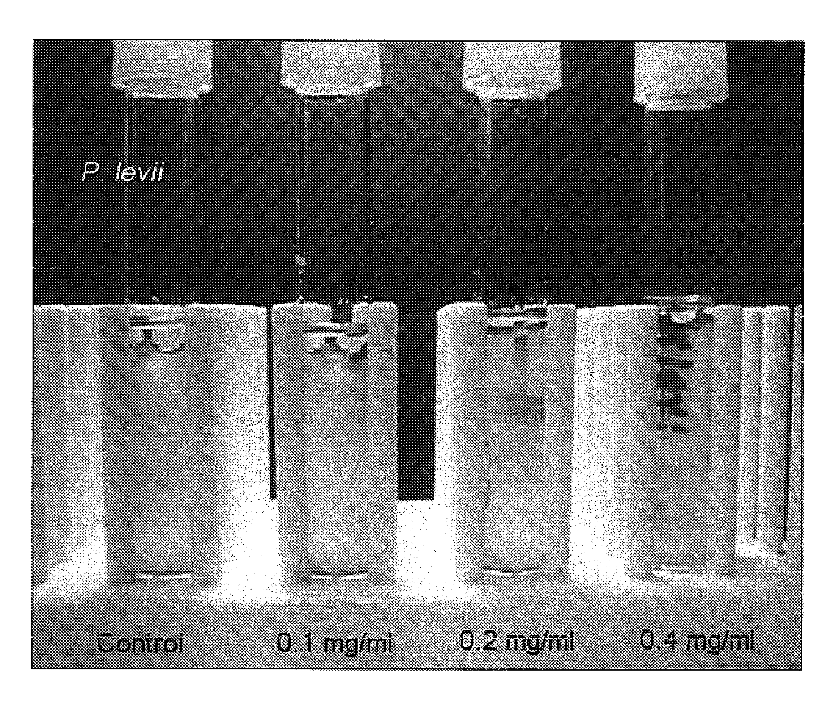 Medium composition, method and device for selectively enhancing the isolation of anaerobic microorganisms contained in a mixed sample with facultative microorganisms