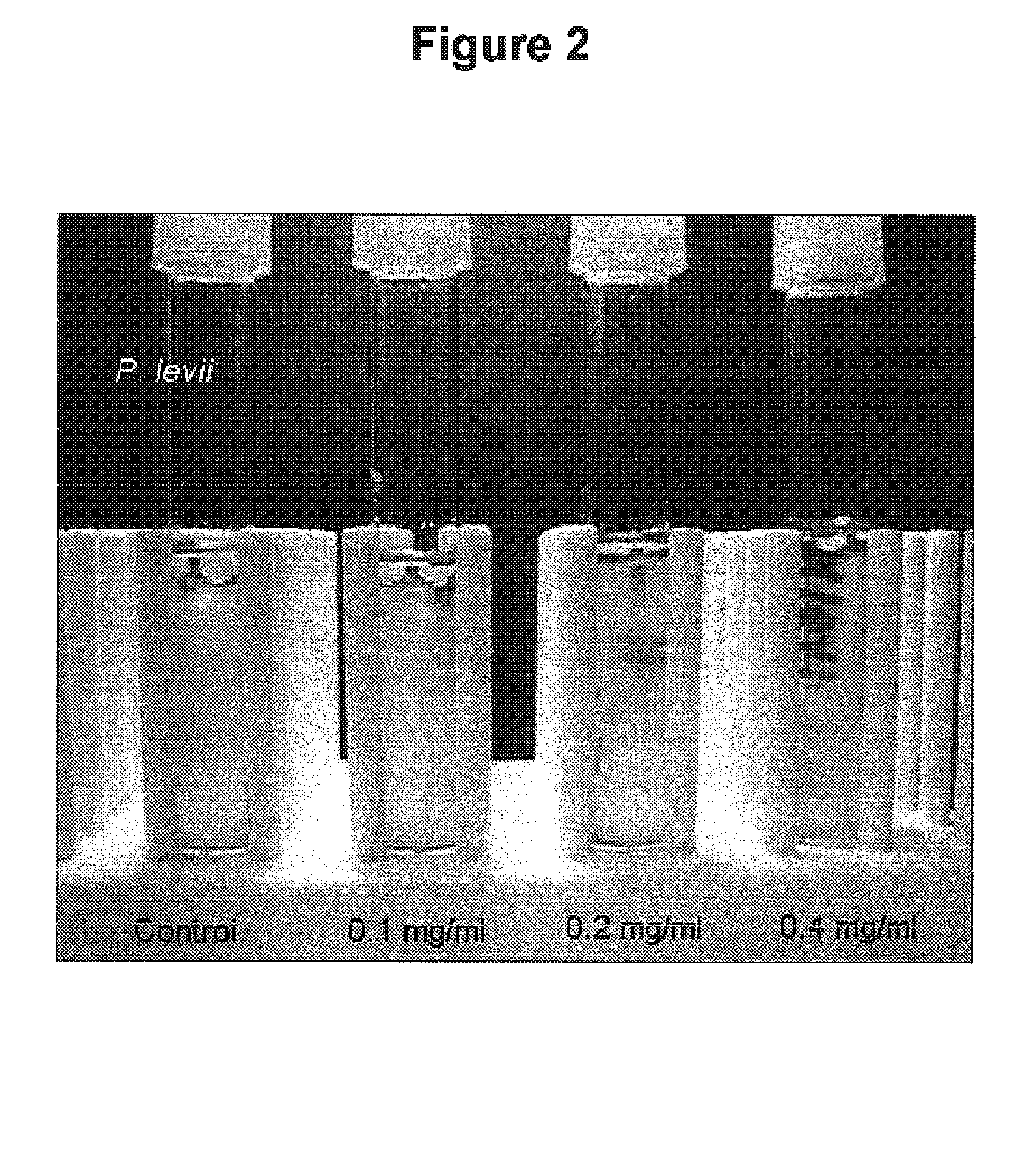 Medium composition, method and device for selectively enhancing the isolation of anaerobic microorganisms contained in a mixed sample with facultative microorganisms