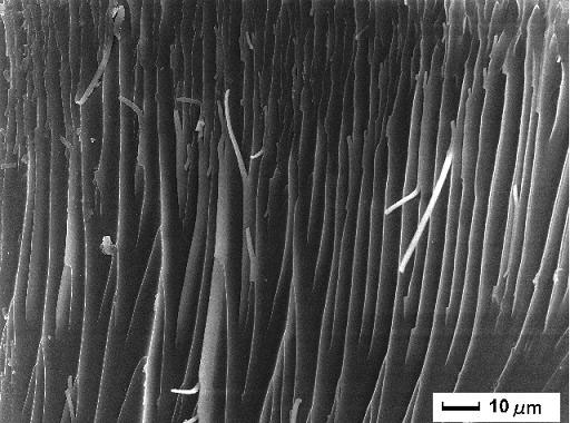 Method for manufacturing fine straight PZT piezoelectric fiber array