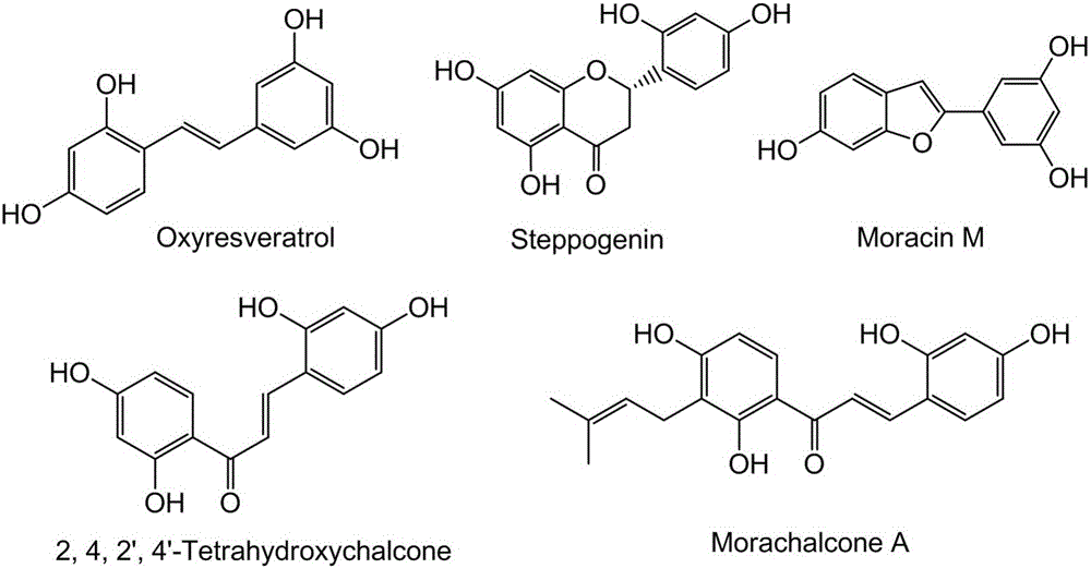 Preparation method and application of mulberry twig effective part with tyrosinase inhibiting effect