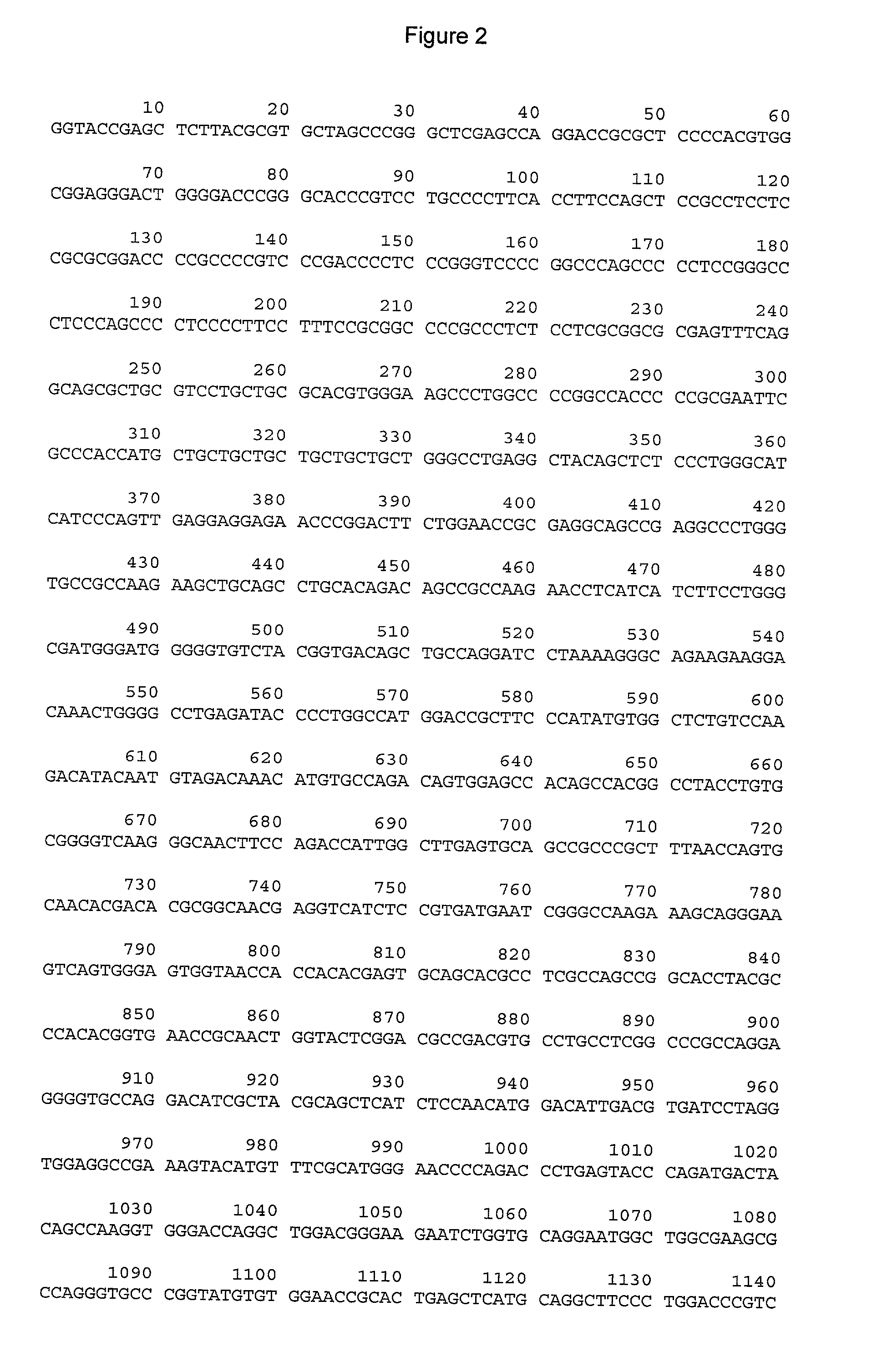 Methods and compositions for modulating telomerase reverse transcriptase (TERT) expression