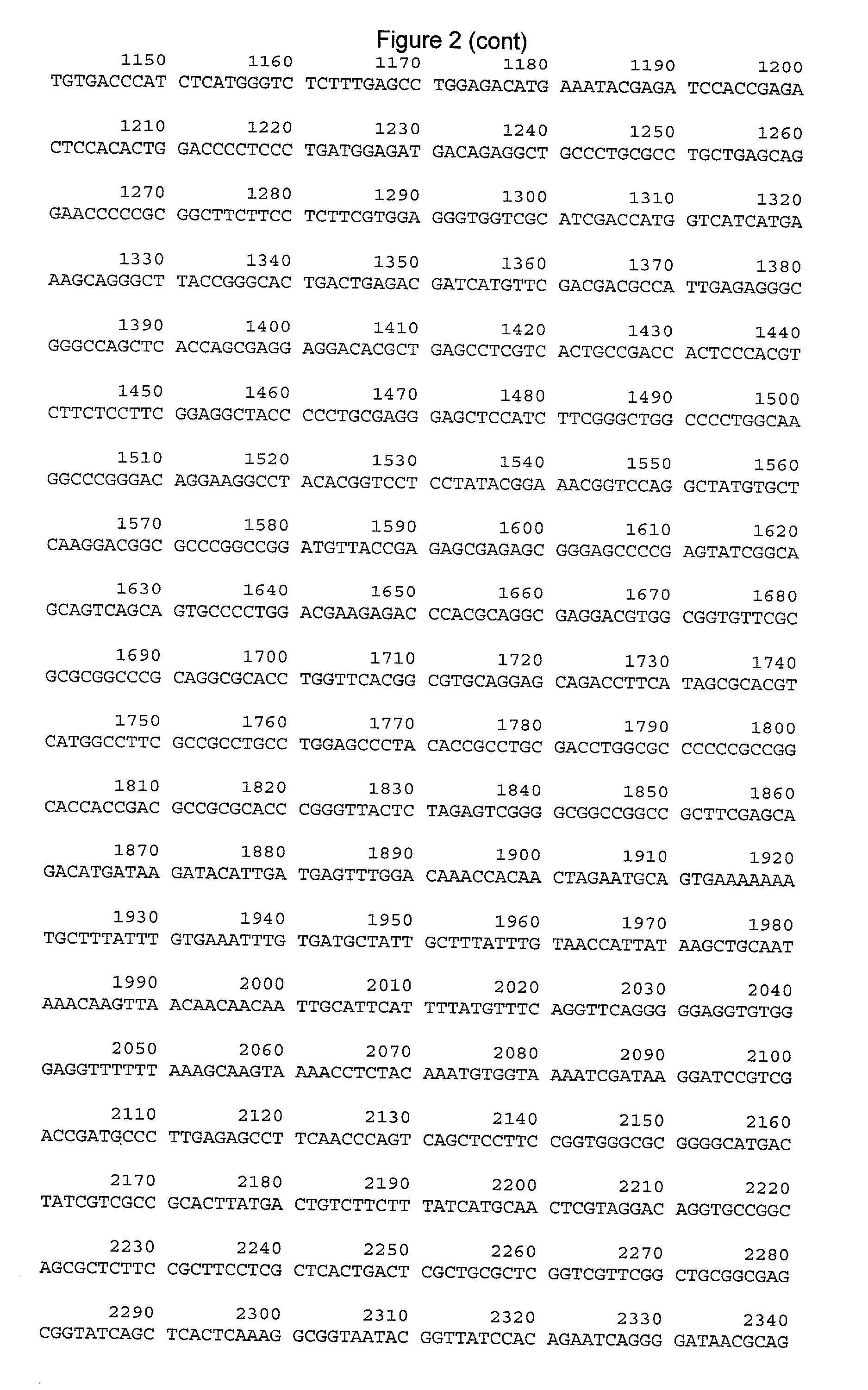 Methods and compositions for modulating telomerase reverse transcriptase (TERT) expression