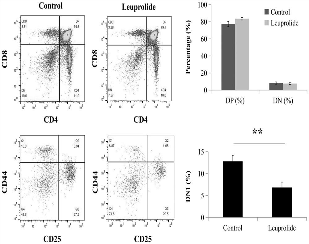 Application of androgen deprivation in inhibiting growth of androgen-independent tumors