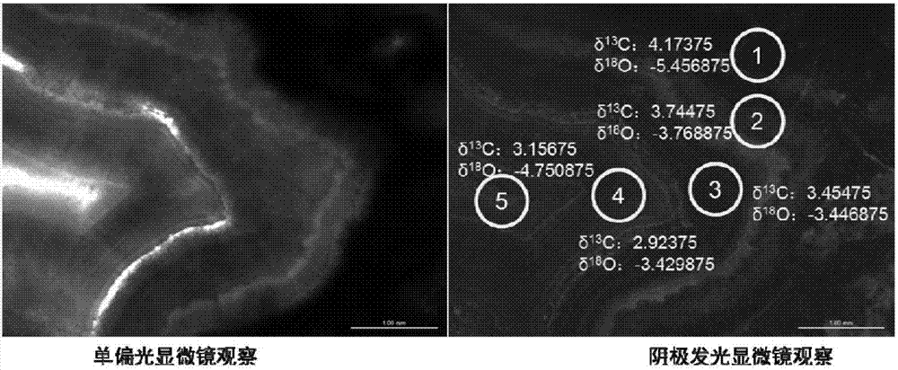 Sample treatment method for in-situ micro-area combination analysis