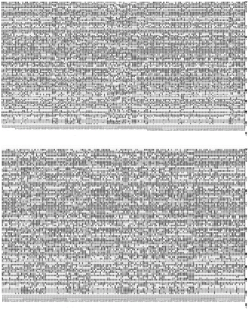 Set of core SNP markers suitable for constructing variety nucleic acid fingerprint database of Chinese cabbage and applications of core SNP markers