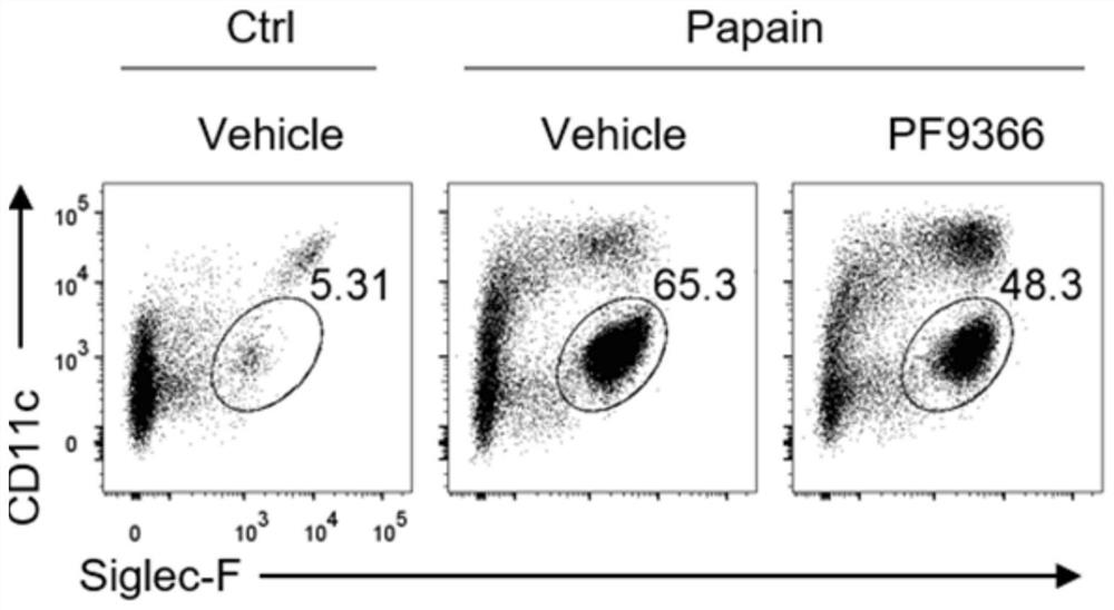 New application of MAT2A inhibitor for treating asthma