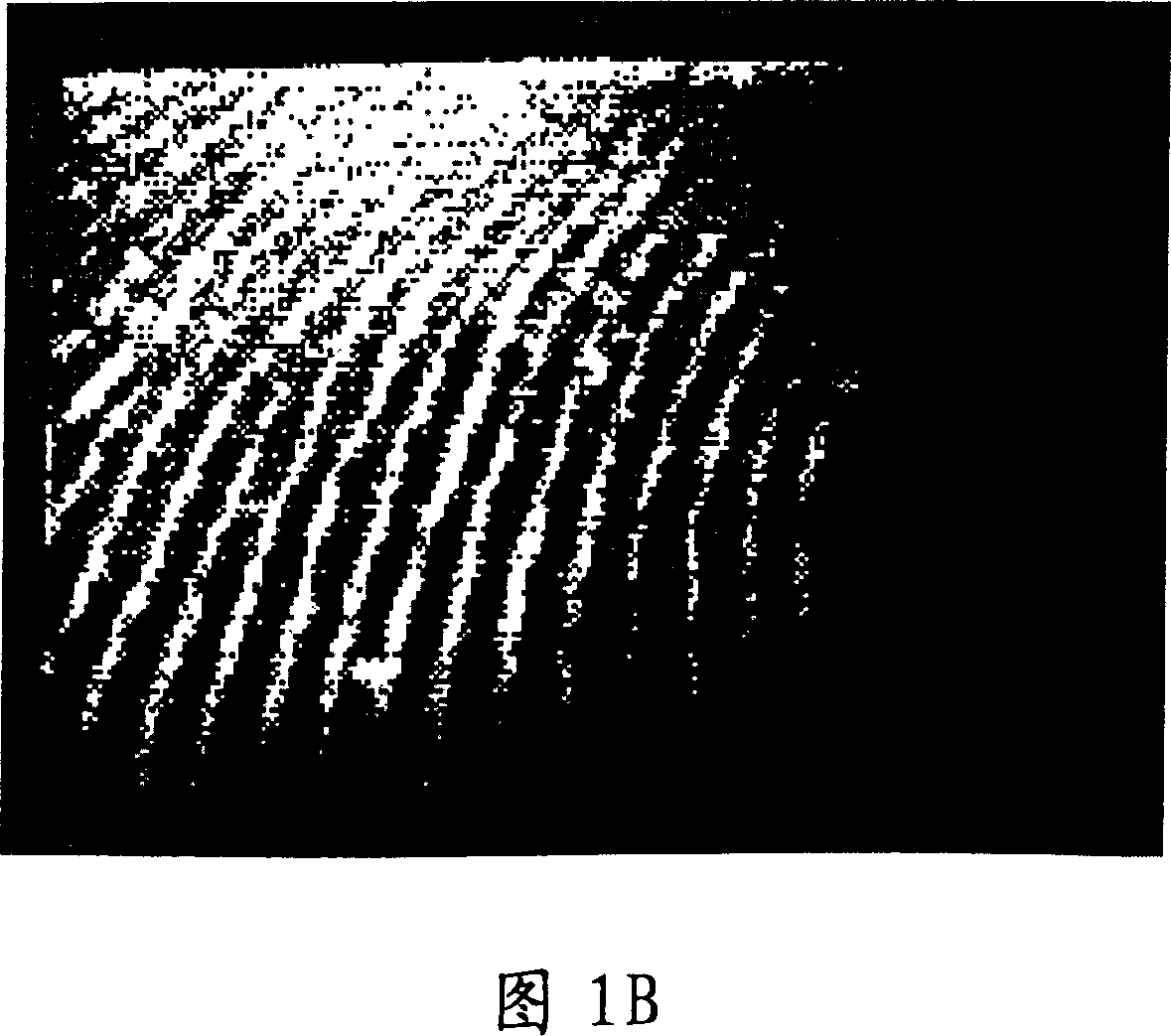 Fingerprint identification system having detecting capillary hole and method thereof