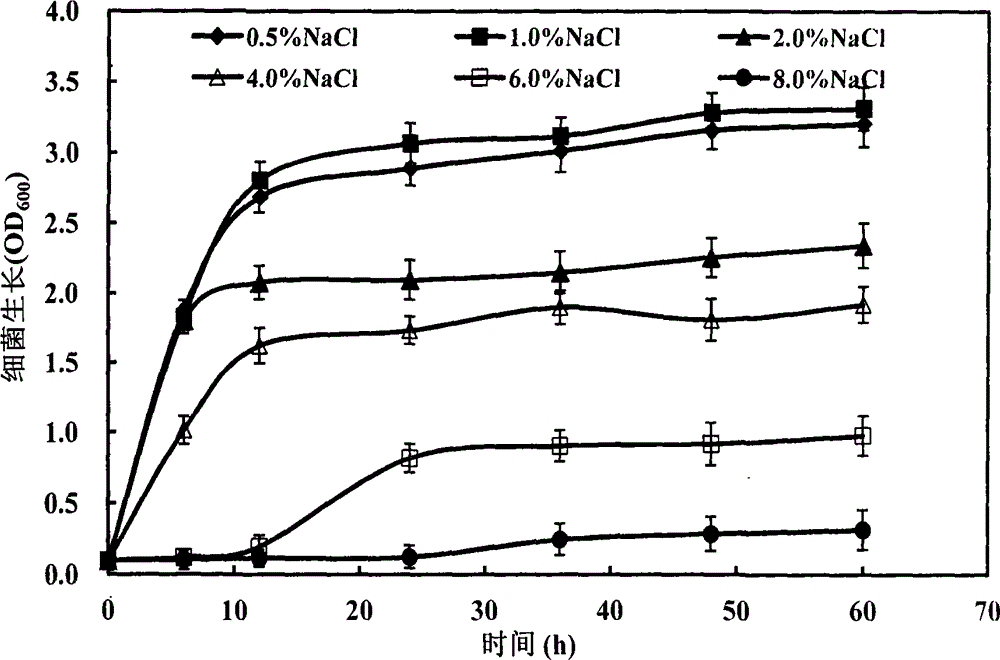 Screening method and application of Raoultella planticola strain SRPG-4 producing ACC (1-aminocyclopropane-1-carboxylic acid) deaminase activity