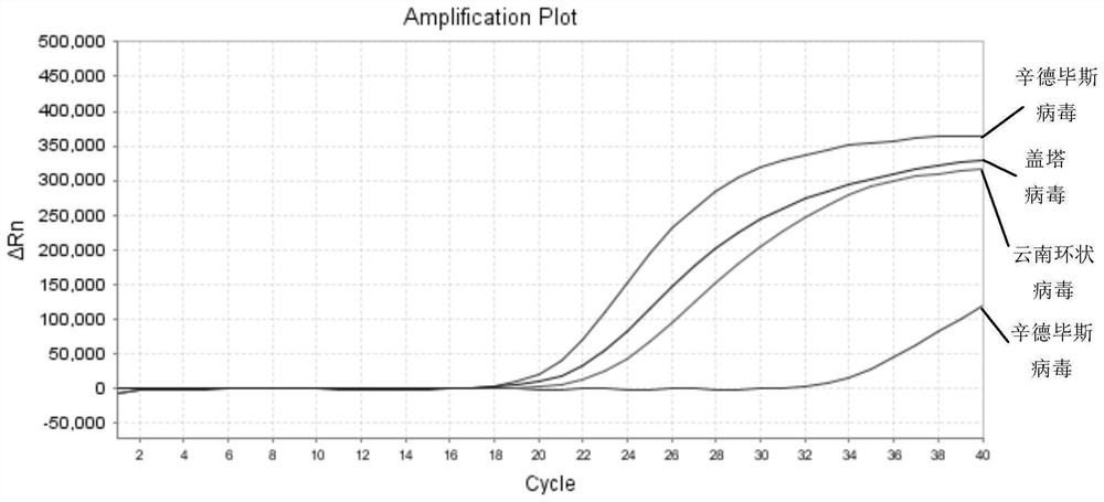 A nucleic acid composition, kit and detection method for simultaneous detection of Sindbis virus, Getha virus and Yunnan orbivirus