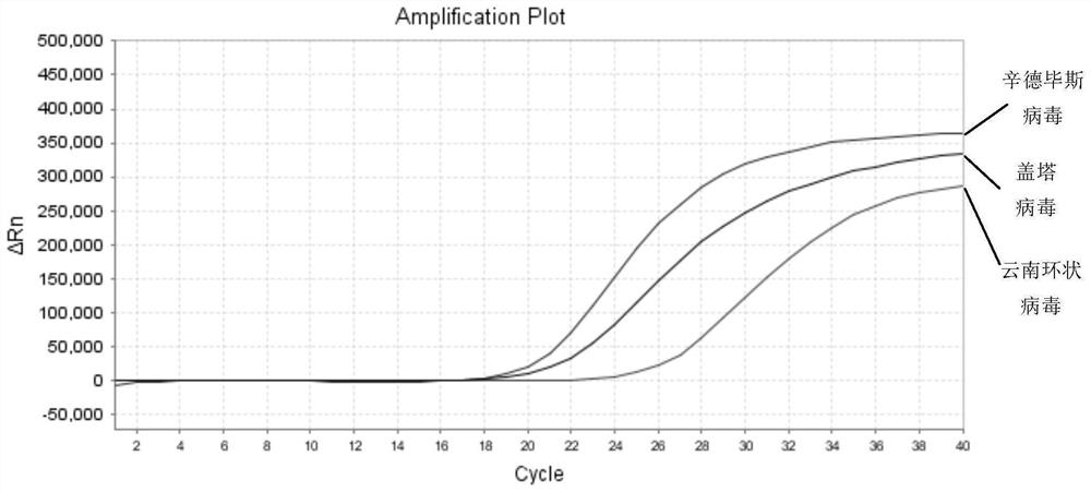 A nucleic acid composition, kit and detection method for simultaneous detection of Sindbis virus, Getha virus and Yunnan orbivirus