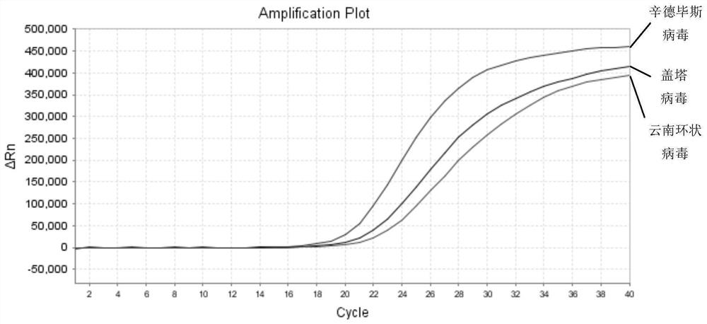 A nucleic acid composition, kit and detection method for simultaneous detection of Sindbis virus, Getha virus and Yunnan orbivirus