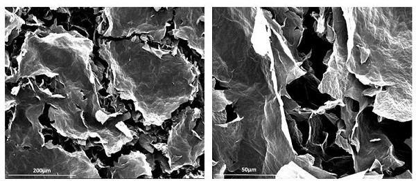 Preparation method of mesoporous reduced graphene oxide absorbent