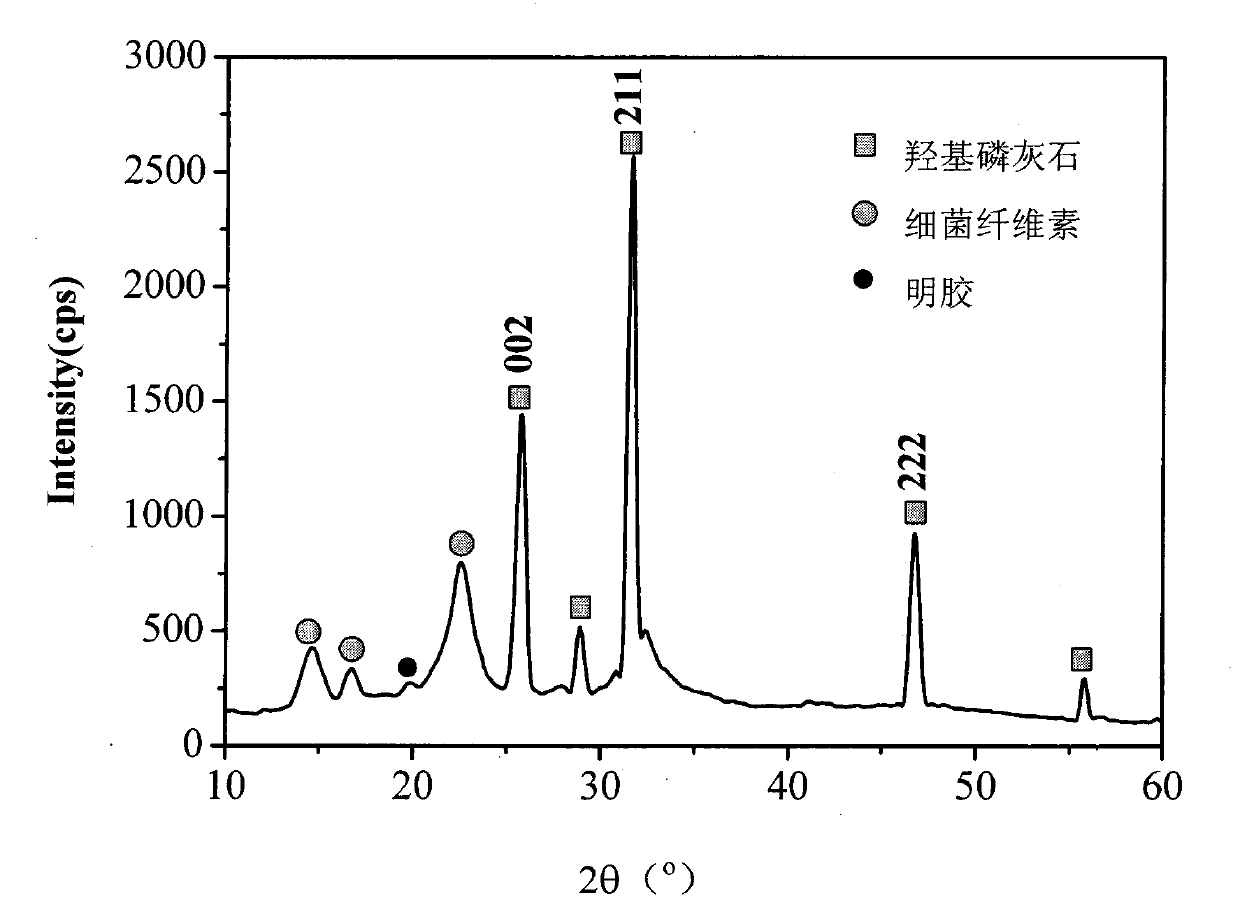 Bacteria cellulose/gelatin/hydroxyapatite composite material and preparation method thereof