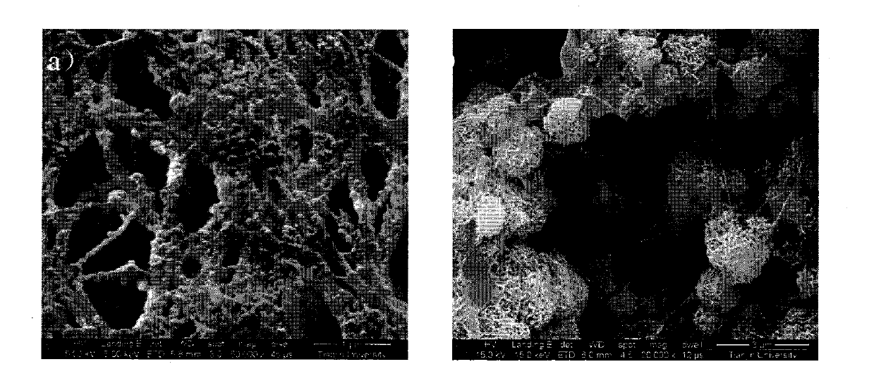 Bacteria cellulose/gelatin/hydroxyapatite composite material and preparation method thereof