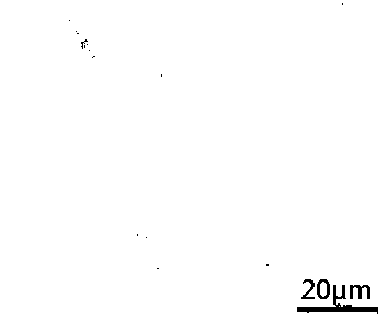 Low temperature diluent of pig sperm based on Pelodiscus sinensis hibernating serum