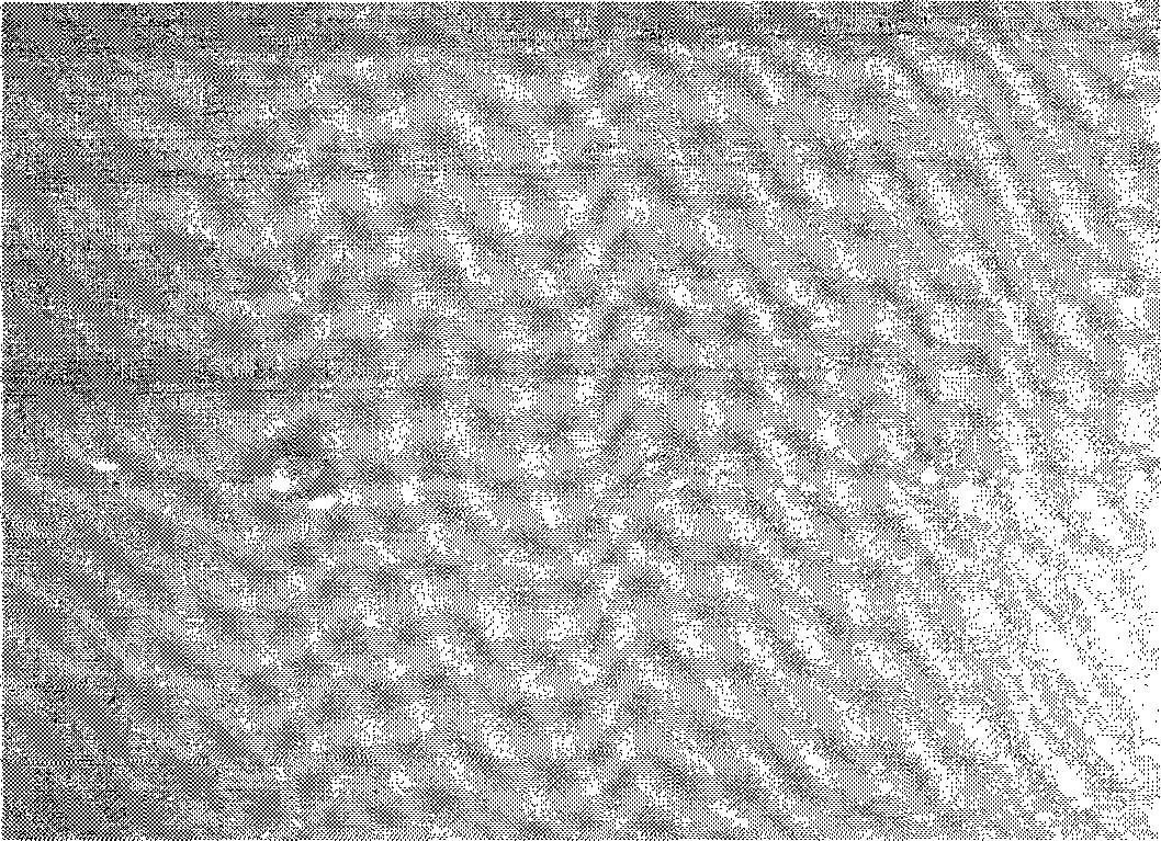 Method for Vectran carbon fiber surface modification of plasma coated with silicon dioxide colloidal sols by plasma treatment